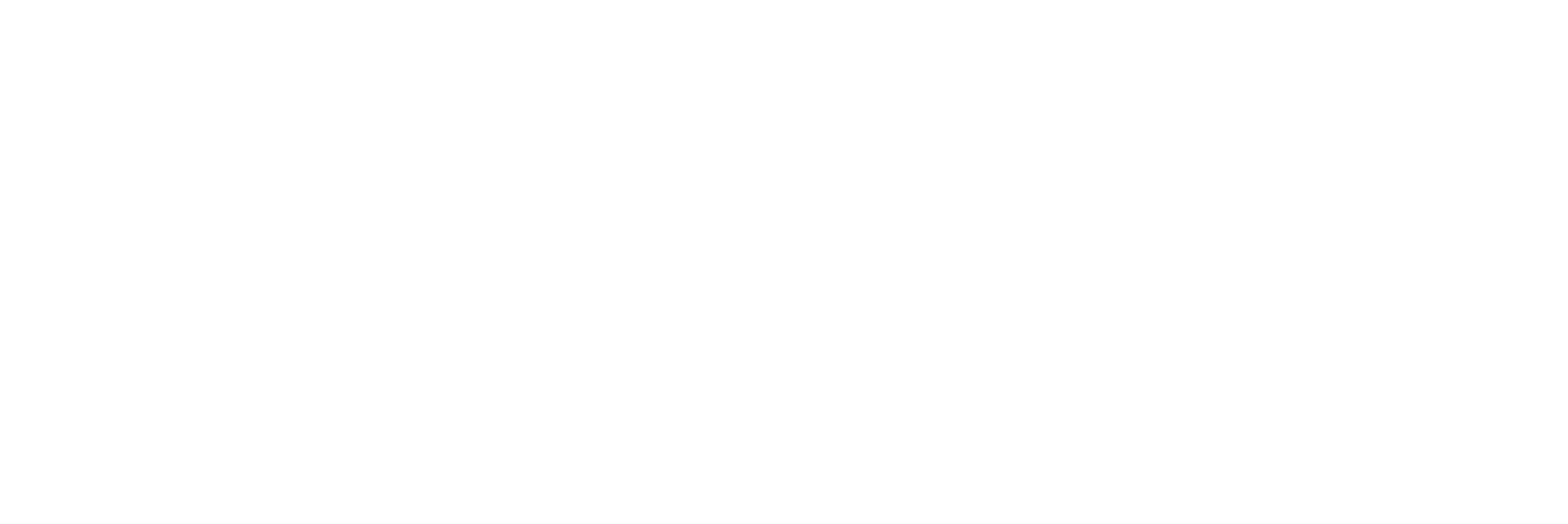 BOSTAR 铂星半导体 Logo
